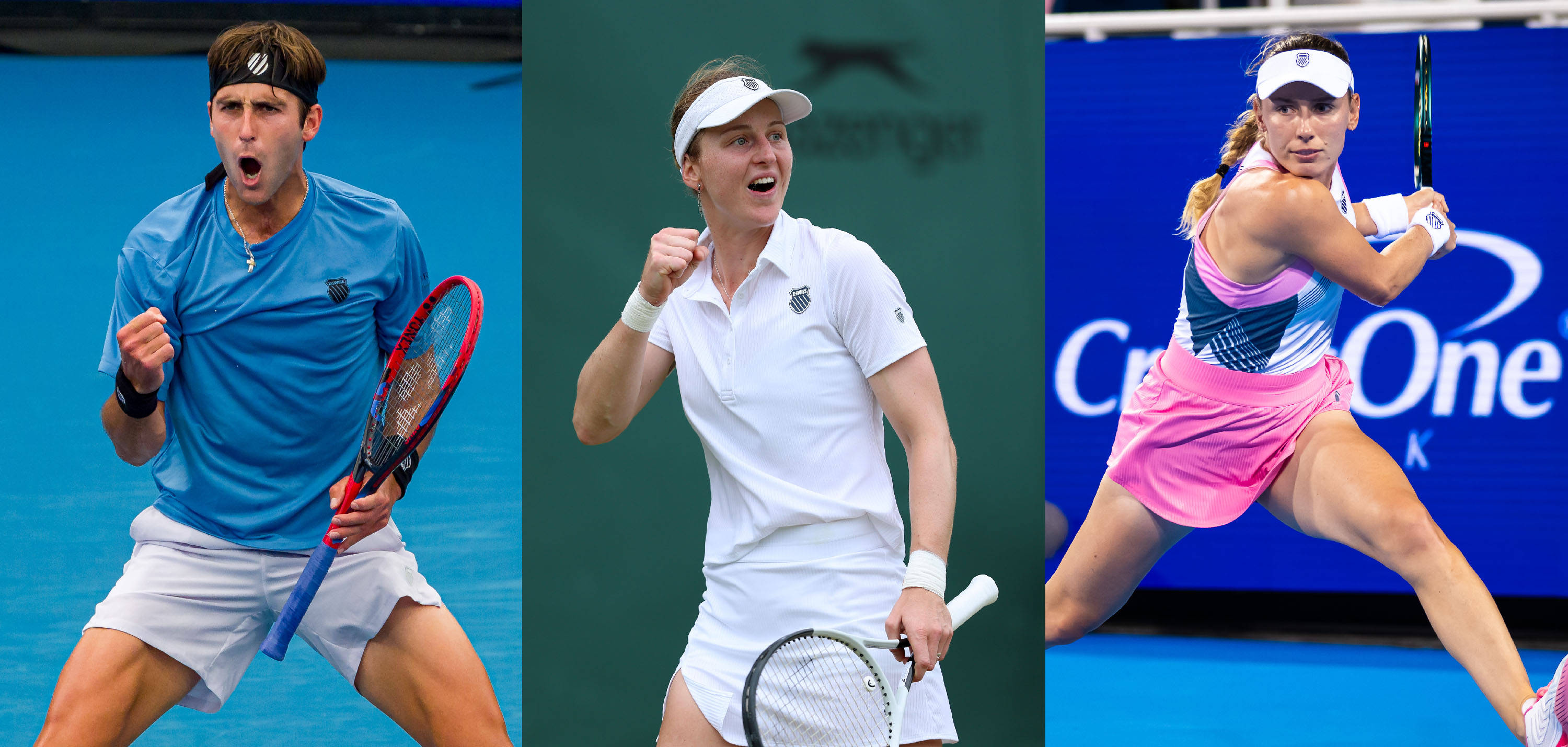 鹈鹕的实力 鹈鹕的实力